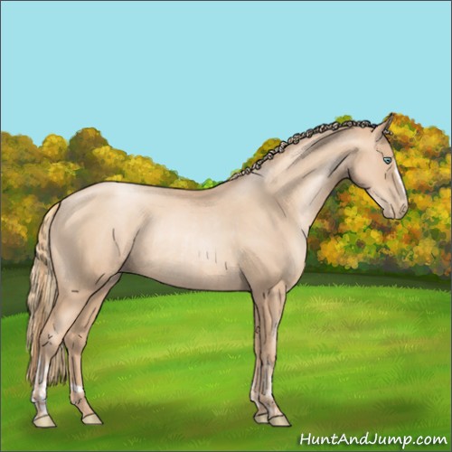 Horse Color:Gold Champagne Pearl Rabicano and Gold Champagne Pearl Rabicano
