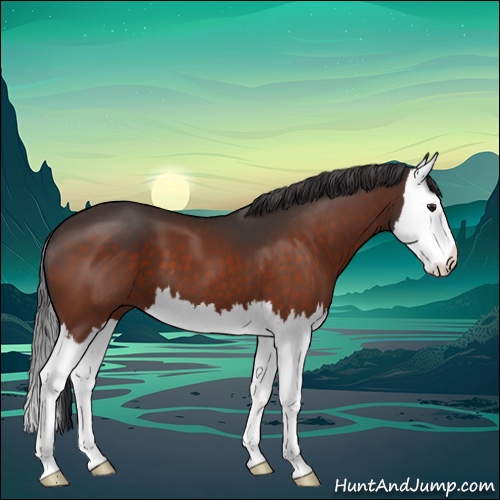Horse Color:Brown Splash 