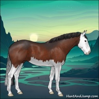 Horse Color:Brown Splash 