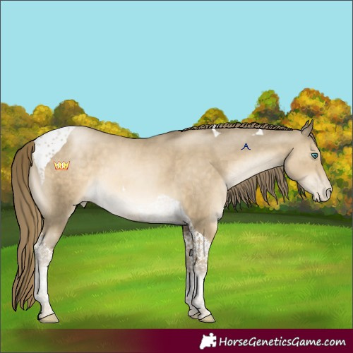 Horse Color:Smoky Black Pearl Tobiano 