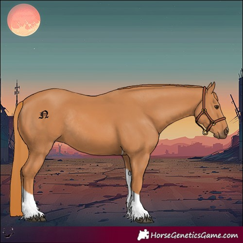 Horse Color:Chestnut Tobiano Rabicano