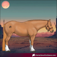 Horse Color:Chestnut Tobiano Rabicano 