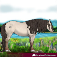Horse Color:Amber Champagne Dun 