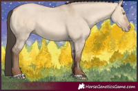 Horse Color:Amber Champagne Dun 
