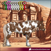 Horse Color:White Spotted Chocolate Palomino