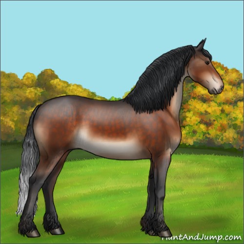 Horse Color:Brown 