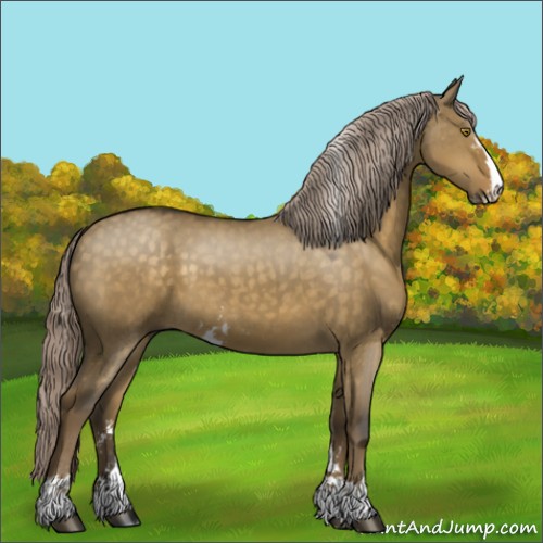 Horse Color:Chocolate Palomino Dun Sabino 