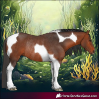 Horse Color:Bay Tobiano Rabicano