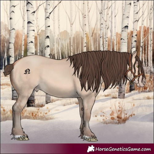 Horse Color:Amber Champagne Dun 