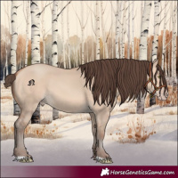 Horse Color:Amber Champagne Dun