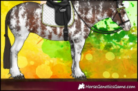Horse Color:Liver Chestnut Sabino