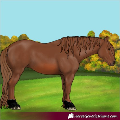 Horse Color:ERROR: UNKNOWN ANOMALY