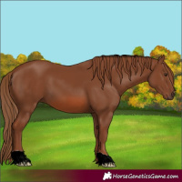 Horse Color:ERROR: UNKNOWN ANOMALY