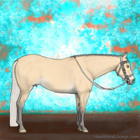Horse Color:Silver Buckskin Dun 