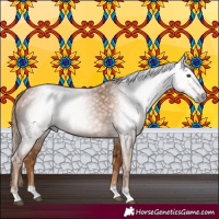 Horse Color:Gray Chestnut 