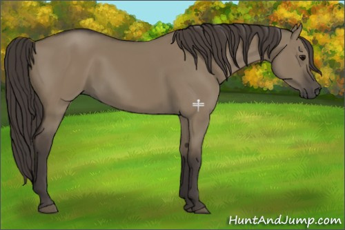 Horse Color:Smoky Grullo 