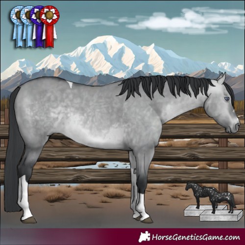 Horse Color:Bay Chinchilla Dun Tobiano 