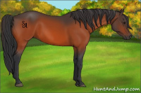 Horse Color:Brown 
