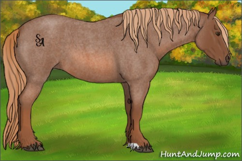Horse Color:Red Roan 