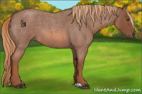 Horse Color:Red Roan 