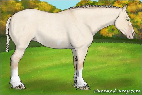 Horse Color:Silver Classic Champagne Roan Dun Splash Frame 