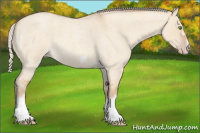 Horse Color:Silver Classic Champagne Roan Dun Splash Frame 