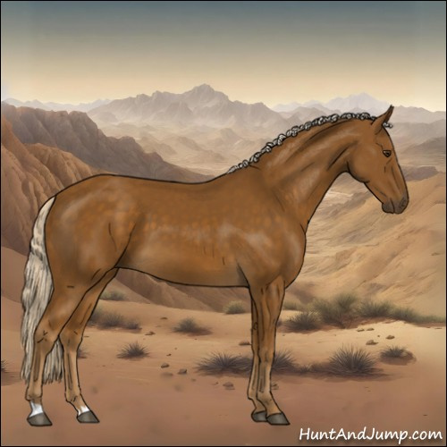 Horse Color:Chocolate Palomino 