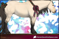 Horse Color:Buckskin Dun 