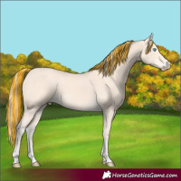Horse Color:Painted Perlino 