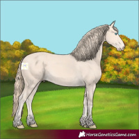 Horse Color:Perlino 