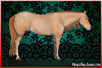 Horse Color:Bay Pearl 