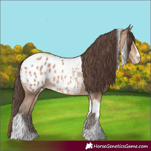 Horse Color:Amber Champagne Sabino Tobiano Appaloosa  and Amber Champagne Sabino Tobiano Appaloosa 