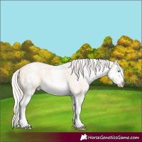 Horse Color:White Spotted Cremello Dun Rabicano and White Spotted Cremello Dun Rabicano