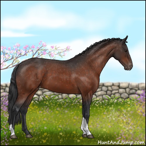 Horse Color:Brown Tobiano Varnish