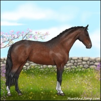 Horse Color:Brown Tobiano Varnish 