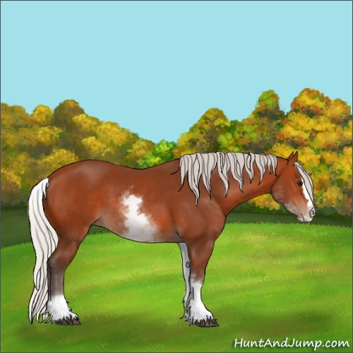 Horse Color:White Spotted Silver Bay Splash 