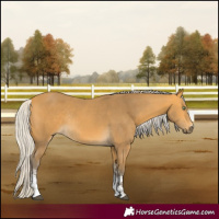Horse Color:Silver Buckskin Sabino Rabicano