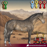 Horse Color:Silver Smoky Black Sabino Rabicano