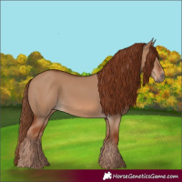 Horse Color:Red Dun 