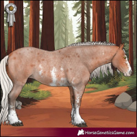 Horse Color:Silver Bay Roan Sabino Rabicano 