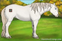 Horse Color:Smoky Creme Dun Splash 