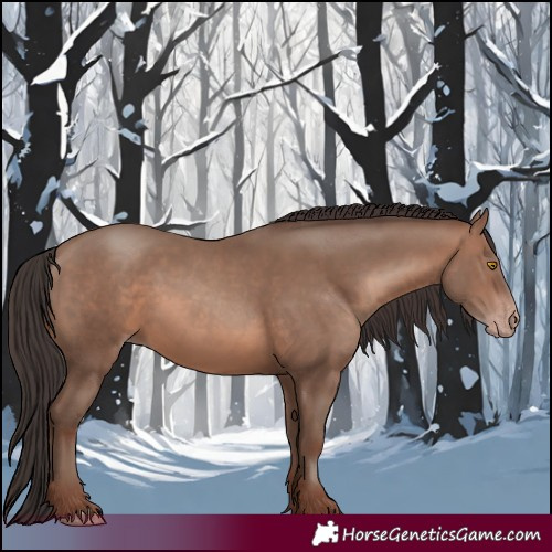 Horse Color:Sable Champagne