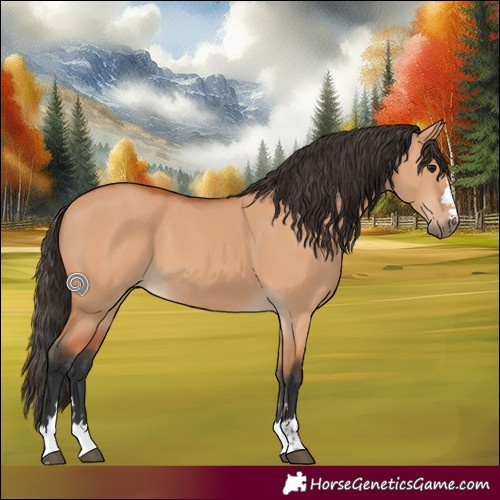 Horse Color:Bay Dun