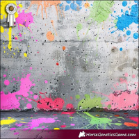 Horse Color:Black Tobiano