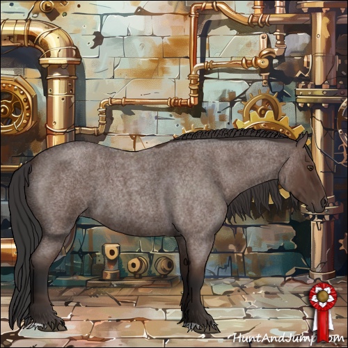 Horse Color:Bay Roan 