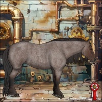 Horse Color:Bay Roan 