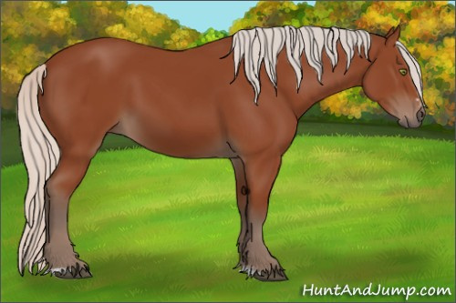 Horse Color:Silver Bay Sabino Rabicano