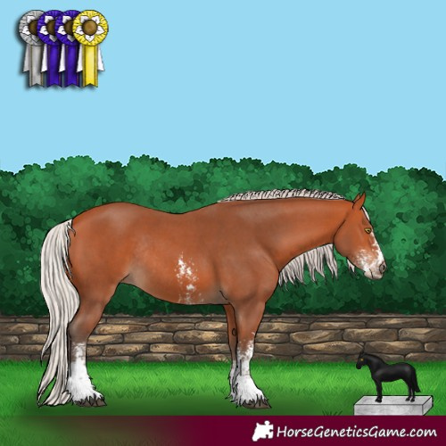Horse Color:Silver Bay Sabino Rabicano 