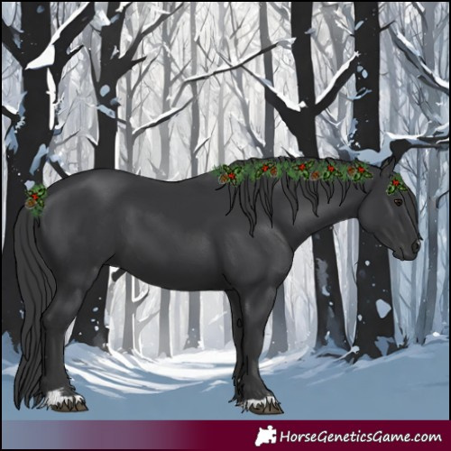 Horse Color:Black 