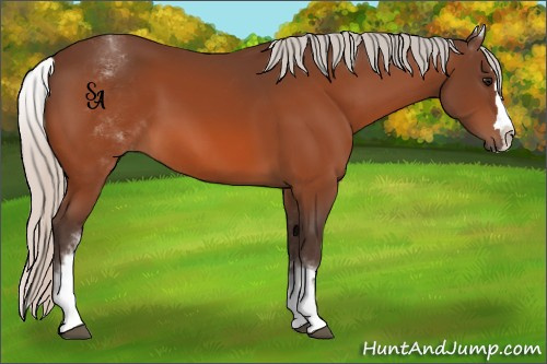 Horse Color:White Spotted Silver Bay Splash 